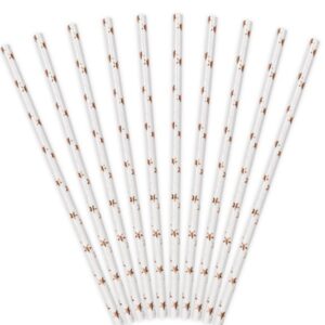 Slamky papierové, biele s Rose gold hviezdičkami 19,5 cm (10 ks) - kovove slamky, slamky, sklenene slamky, papierove slamky, bambusove slamky, eko slamky, nerezove slamky, bambusové slamky, kovové slamky dm, ekologicke slamky, kefka na slamky, bio slamky, ryzove slamky, psenicne slamky