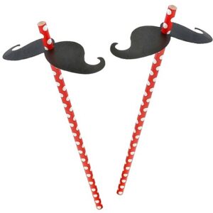 Slamky s fúzami - kovove slamky, slamky, sklenene slamky, papierove slamky, bambusove slamky, eko slamky, nerezove slamky, bambusové slamky, kovové slamky dm, ekologicke slamky, kefka na slamky, bio slamky, ryzove slamky, psenicne slamky